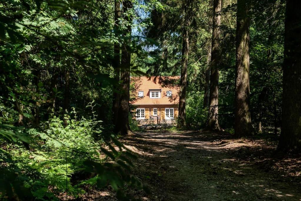 Fantastisch Familiehuis Met Grote Tuin I Bosrijk Lunteren Dış mekan fotoğraf
